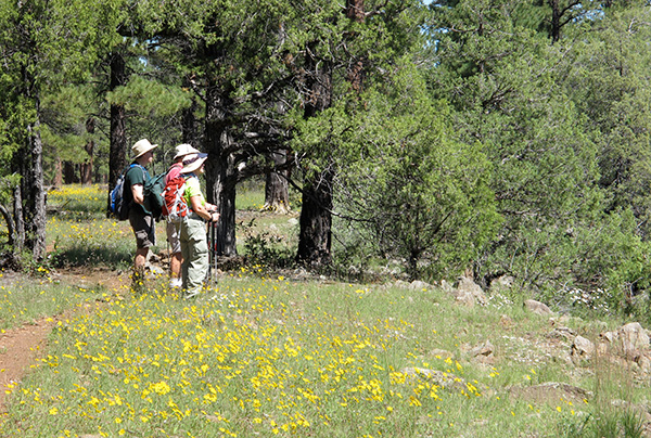 hikers