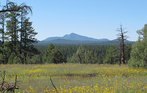 mountain