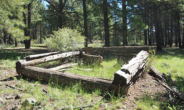 log