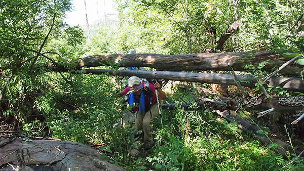 log