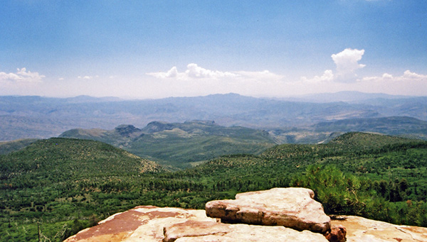 view