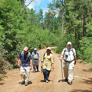 hikers