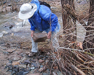 L04_ROCK_PATH_QN