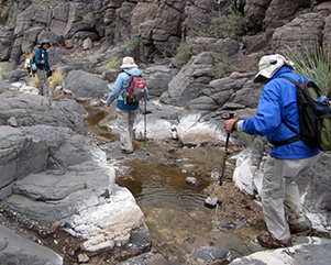 L24_BRUSH_CANYON