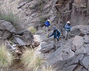 L25_BRUSH_CANYON