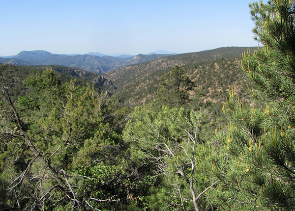 view