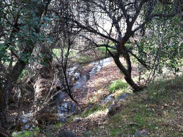 creek