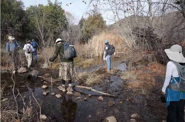 creek