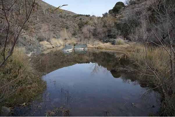 pond