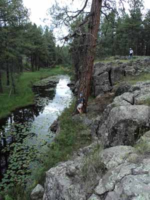 spot