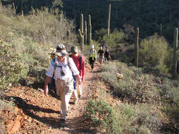 hikers