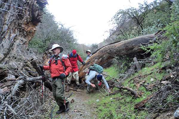 hikers