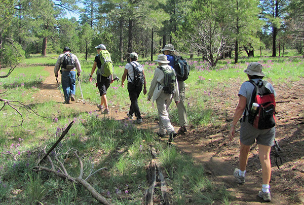 hikers