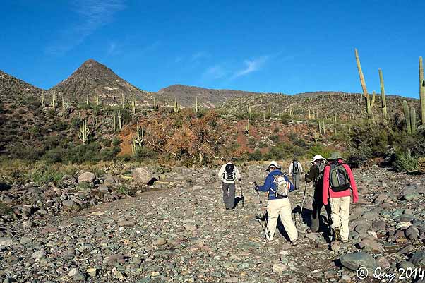 hikers