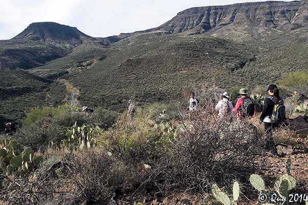 hikers