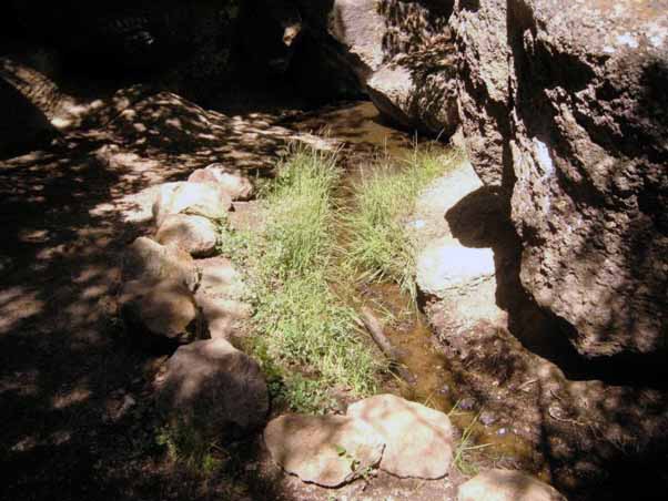 EldenSpring