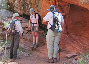 hikers