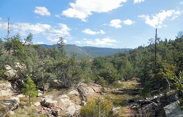 scene