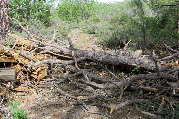 log