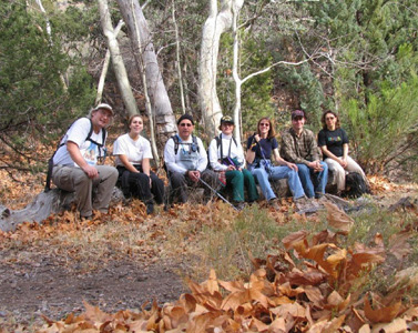group