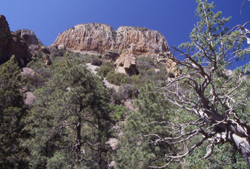 ParkerCreek06b