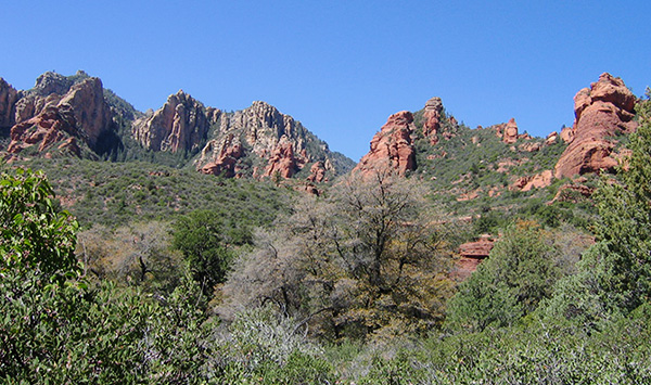 view
