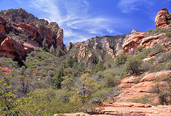 picture5