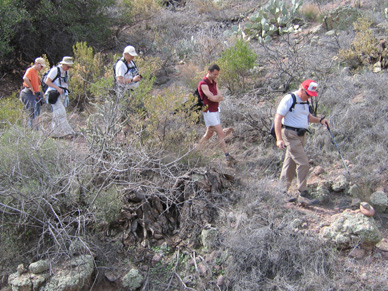 hikers