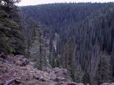 Black River