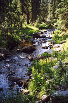 West Fork