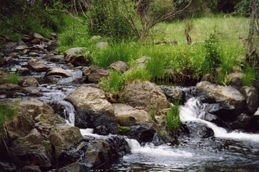 Cascades