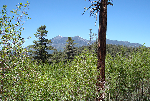 mountains