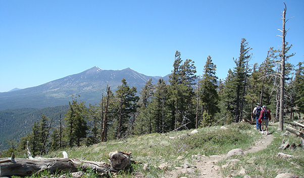 peaks
