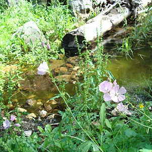 water