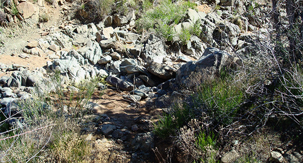 stream