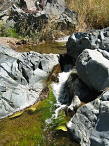 water