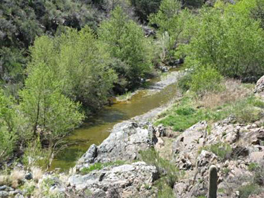 water