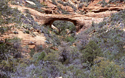Arch