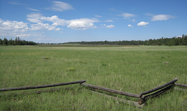 Marshall Lake