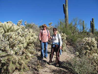 cholla