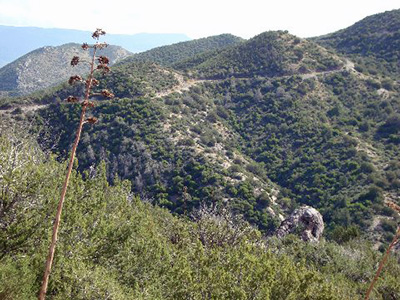 DSC03413_ER