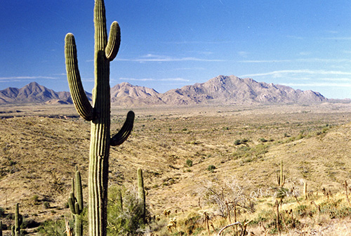 scene