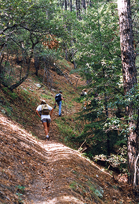 trail