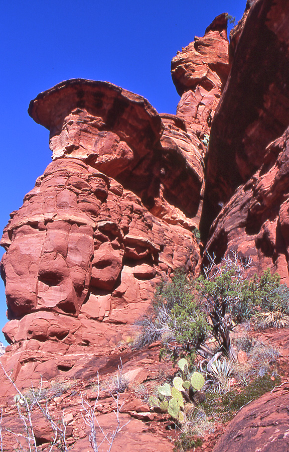 Boynton Canyon